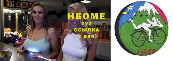 индика Алзамай