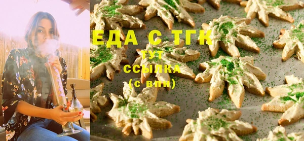 индика Алзамай