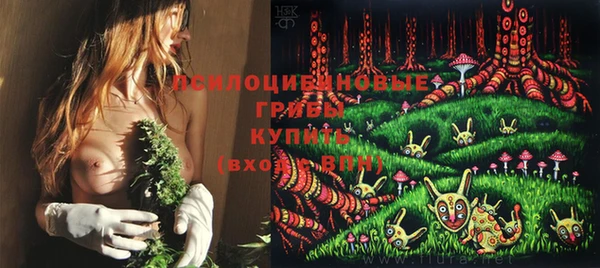 2c-b Алексин