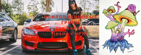 дурь Алексеевка