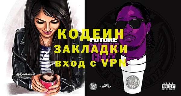 индика Алзамай