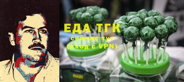 индика Алзамай