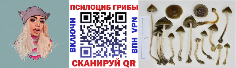 Галлюциногенные грибы MAGIC MUSHROOMS Боровичи