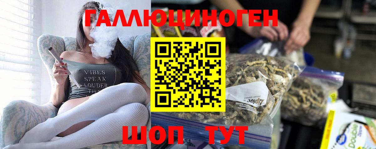 Боровичи  Псилоцибиновые грибы мицелий  Псилоцибиновые грибы Psilocybine cubensis  Вход с VPN 