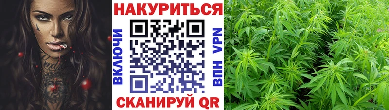 наркошоп Боровичи МАРИХУАНА Ganja